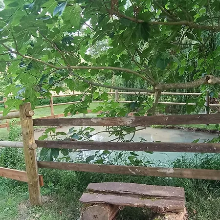 Le Reflet Du Trefle 別荘 Puybegon