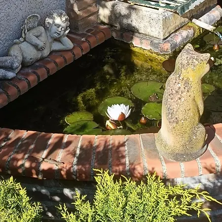 Le Reflet Du Trefle 別荘 Puybegon