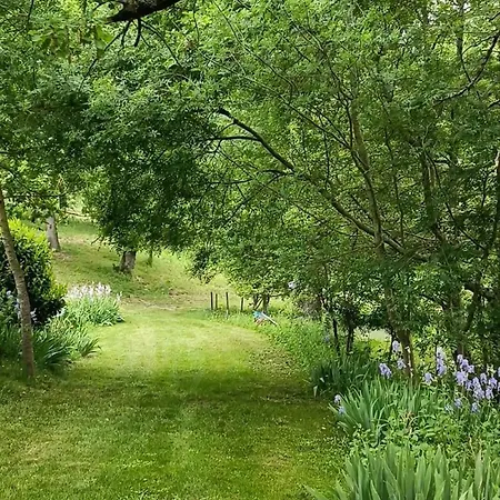 Le Reflet Du Trefle Puybegon