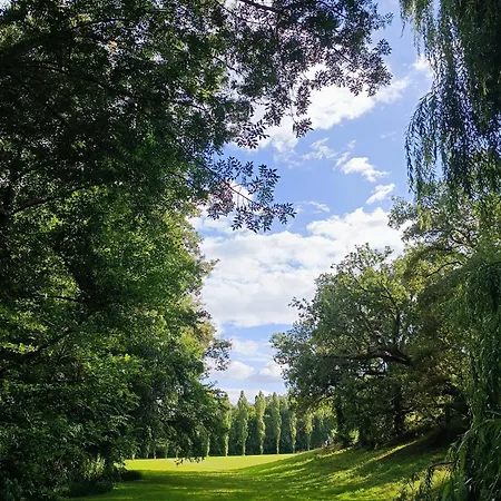 Le Reflet Du Trefle *