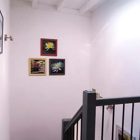 Le Reflet Du Trefle *