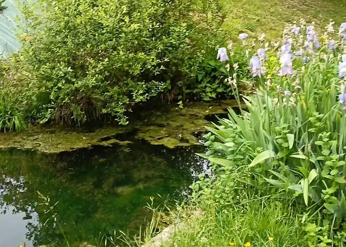 Prázdninový dům Le Reflet Du Trefle *