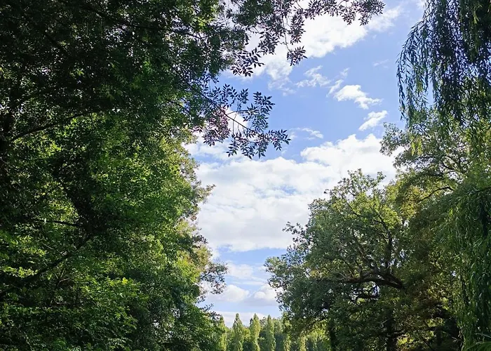 Le Reflet Du Trefle *