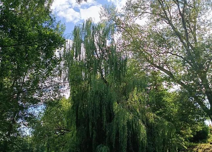 Le Reflet Du Trefle * Puybegon