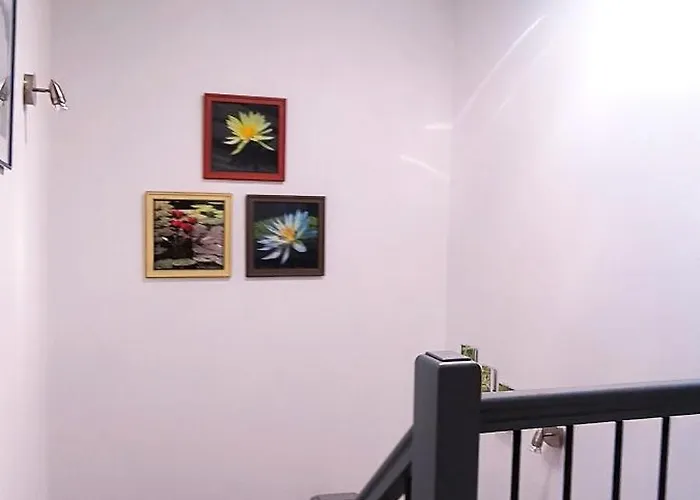 Le Reflet Du Trefle *